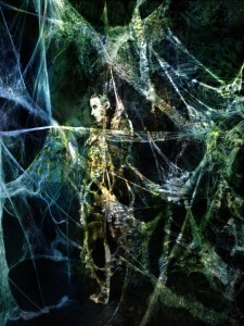 Spiderweb 4